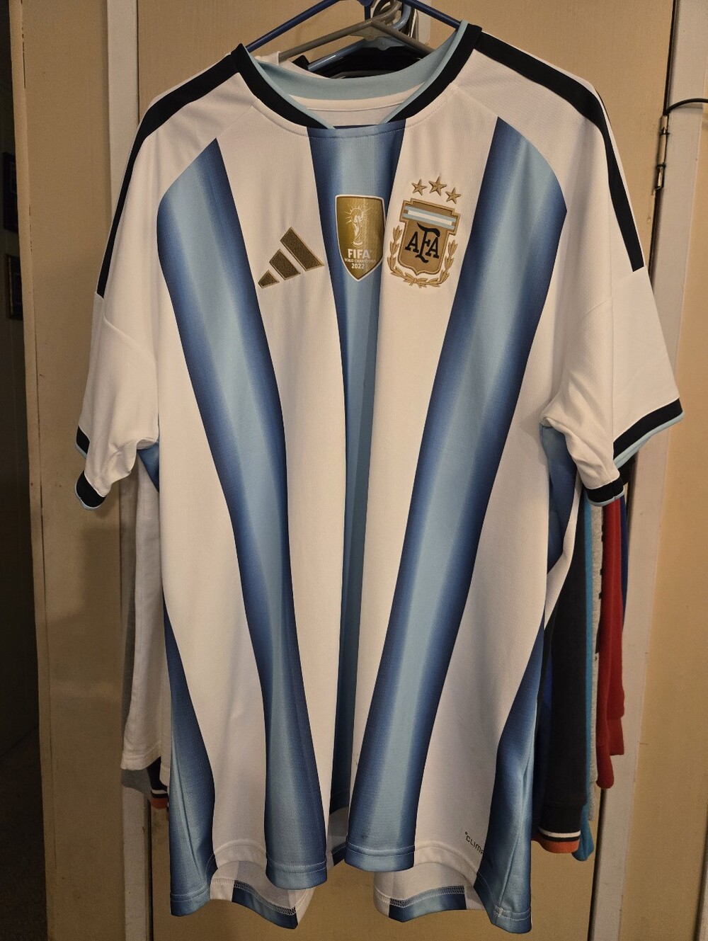 Argentina Mens Soccer Jersey - Blue & White